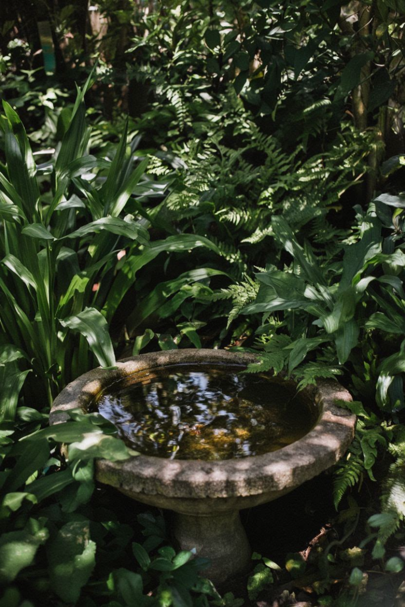 Container Shade Garden Small Space Ideas