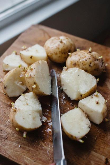 How to Choose and Prepare Seed Potatoes