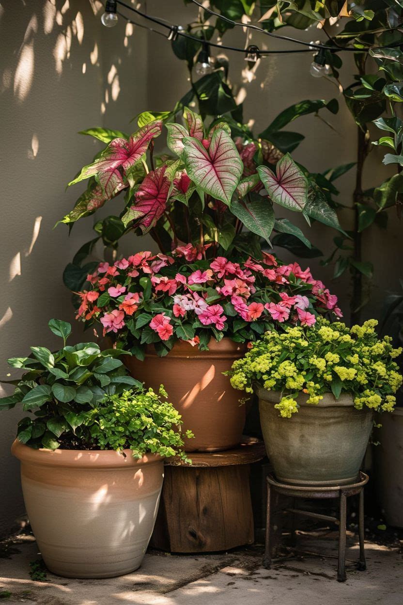 A shady patio corner with large ceramic pots planted with different heights of ferns, caladiums, and trailing ivy, creating a lush container garden